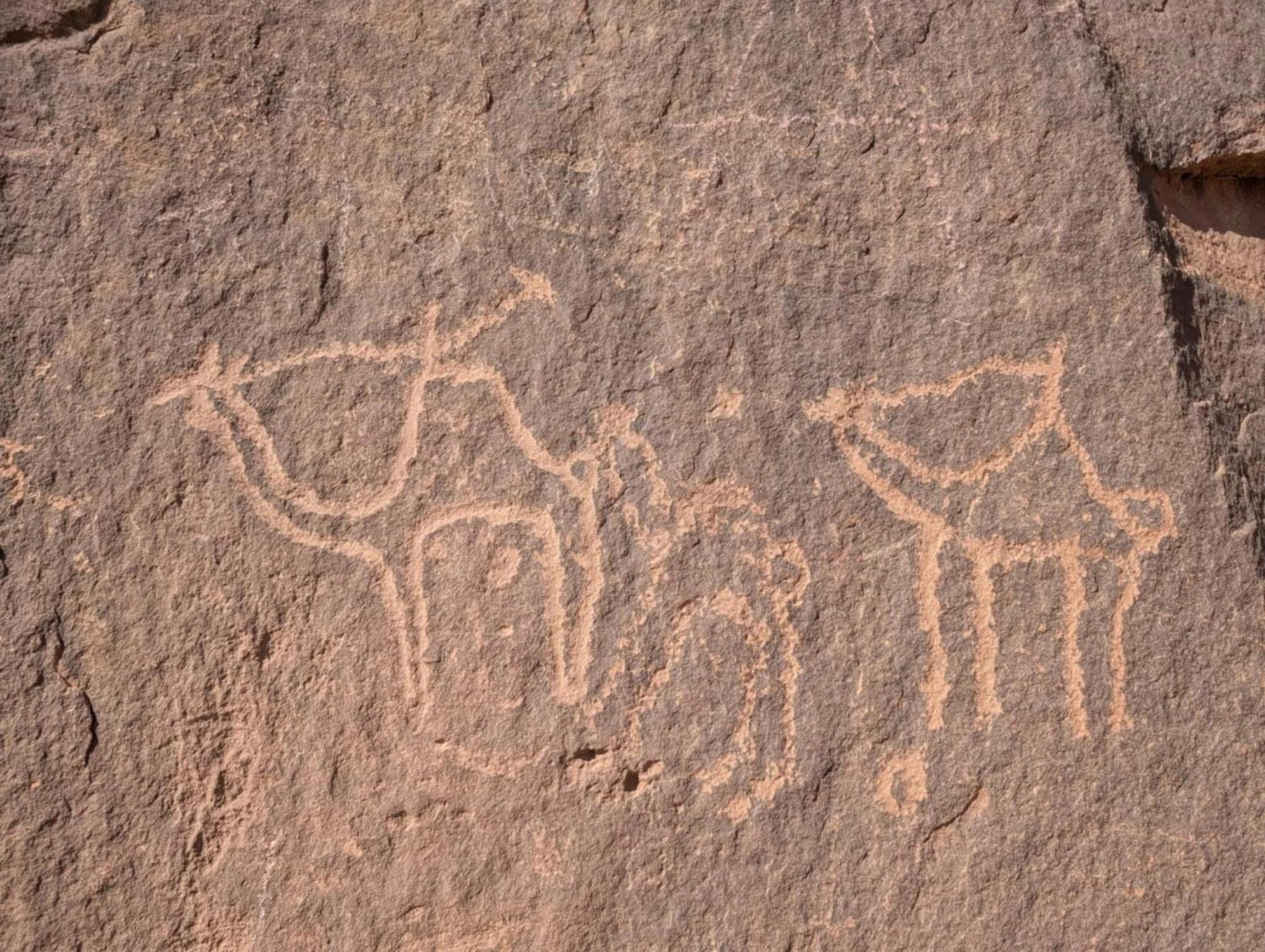 Wadi Rum Albasli Extérieur photo